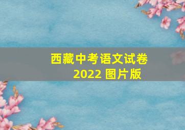 西藏中考语文试卷2022 图片版